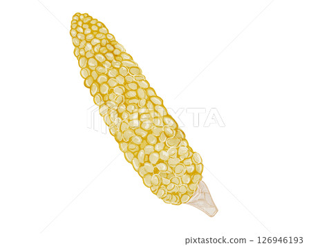 夏季蔬菜、玉米的簡單水彩插圖 夏季蔬菜、玉米的簡單水彩插圖 126946193