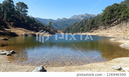 Serene Mountain Lake Surrounded by Lush Pine Forests Serene Mountain Lake Surrounded by Lush Pine Forests 126946300