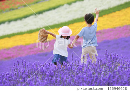 Back view of brother and sister waving in a lavender field 126946628