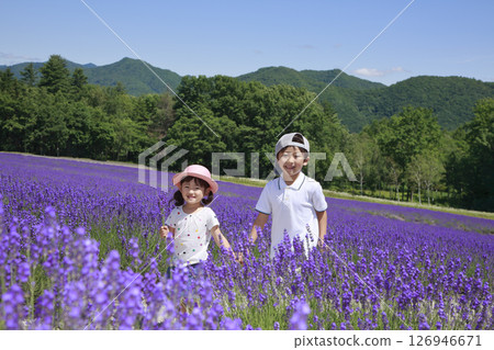 兄妹倆走過薰衣草田 126946671