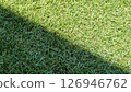 Artificial turf - Sun and shade 126946762