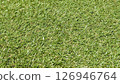 Artificial grass 126946764