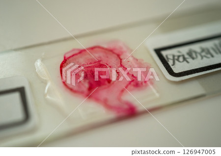 永久幻燈片 永久幻燈片 126947005