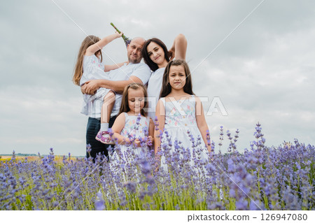 In the lavender field, the mother and father embrace their daughters 126947080