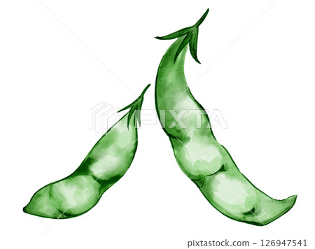夏季蔬菜豌豆的水彩插圖 夏季蔬菜豌豆的水彩插圖 126947541