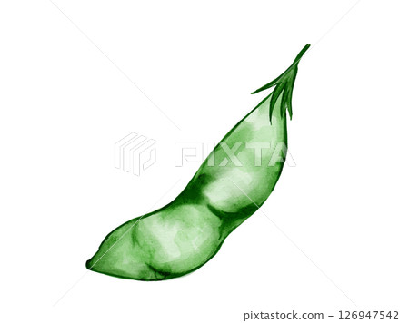 夏季蔬菜豌豆的水彩插圖 126947542