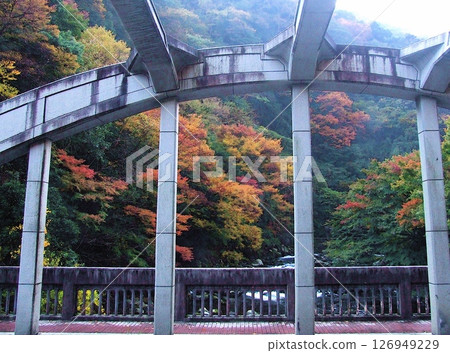 箱根入口圖片：早川上的旭橋與秋葉 126949229
