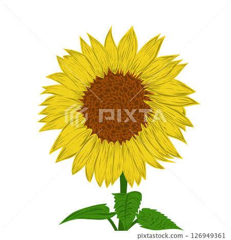 Illustration of a sunflower design. Perfect for poster, website, banner, book cover, invitation, video, sticker or tattoo elements. Illustration of a sunflower design. Perfect for poster, website, banner, book cover, invitation, video, sticker or tattoo elements. 126949361