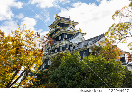 岡山縣岡山市的秋天，日本百座名城之一的岡山城 126949657