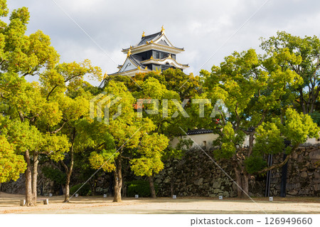 Autumn in Okayama City, Okayama Prefecture, Okayama Castle, one of Japan's 100 famous castles 126949660