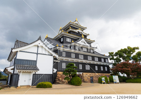 Autumn in Okayama City, Okayama Prefecture, Okayama Castle, one of Japan's 100 famous castles 126949662