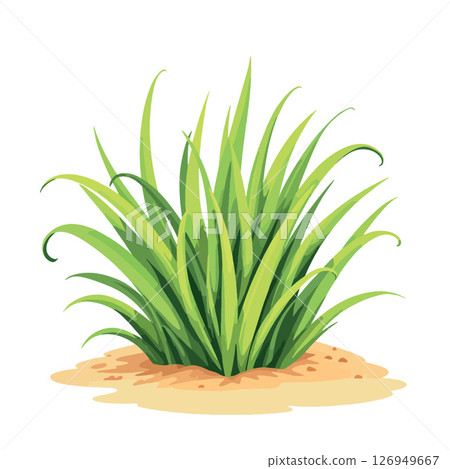 Vsai lush green grass growing on sand dune, vibrant illustration 126949667