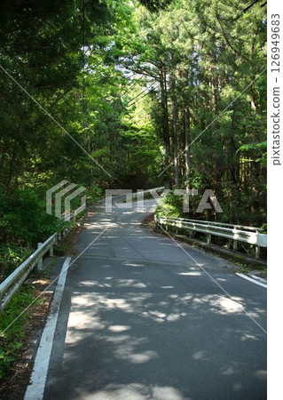通往健行步道的道路 通往健行步道的道路 126949683
