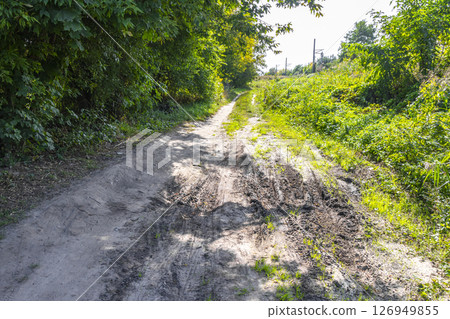 Walking in nature countryside on forest path trail Brest Belarus. 126949855