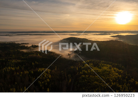 Aerial view of foggy woodland at golden hour in the morning Aerial view of foggy woodland at golden hour in the morning 126950223