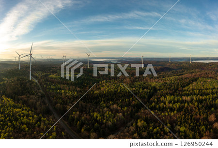 Wind turbine farm inside a forest, drone aerial view at sunrise Wind turbine farm inside a forest, drone aerial view at sunrise 126950244