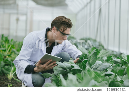 Modern farmer working plant research in organic farm. Biologist study collecting plant grow data 126950381
