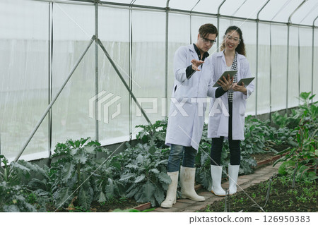 Scientist people working plant research in organic farm. Biologist study collecting plant grow data 126950383