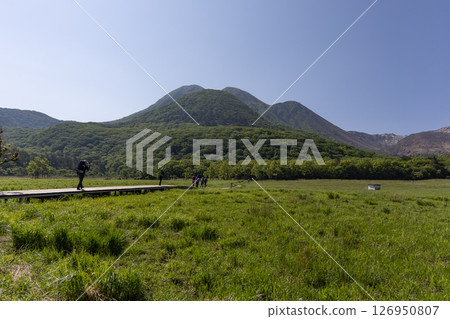 健行者沿著從長者原登山口延伸的山路行走。蓼原濕原與三俁山交界處,呈現出一片新綠的春日景象。 健行者沿著從長者原登山口延伸的山路行走。蓼原濕原與三俁山交界處,呈現出一片新綠的春日景象。 126950807