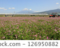東海道新幹線列車穿過紫雲英田，背景是富士山 126950882