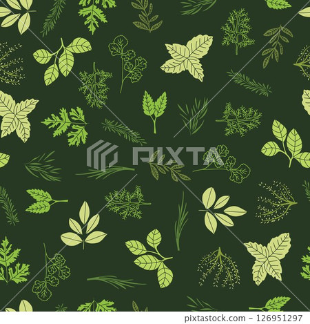 HERBS seamless pattern hand drawn botanical illustration simple plants drawing vegetable artistic modern doodles green kitchen gardening 126951297