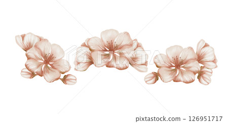 Cherry blossoms and its buds in compositions in hand drawn watercolor technique for decoration of goods and services Cherry blossoms and its buds in compositions in hand drawn watercolor technique for decoration of goods and services 126951717