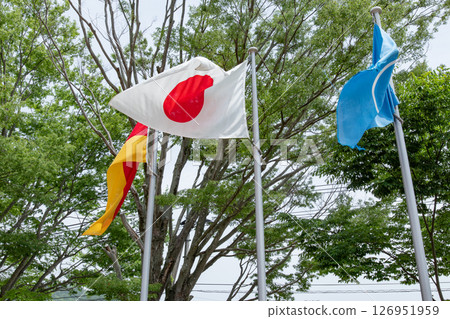 鳴門市德國館前院飄揚的德國與日本國旗 126951959