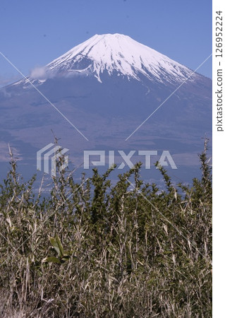 Mount Fuji as seen from Nagao Pass 126952224