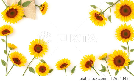 向日葵的框架 126953431
