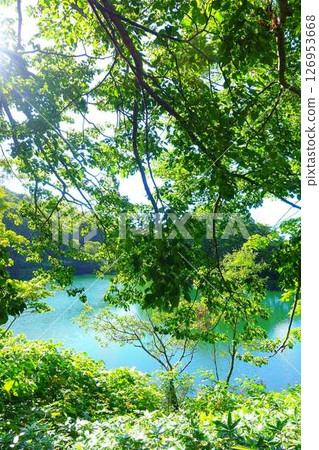 多科沼澤藏王鮮綠 126953668