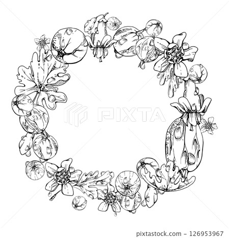 Gooseberry Currant berries leaves flowers, water splash dew drops, wreath hand drawn in vector ink. Ripe garden juneberry casseille jostaberry. Isolated circle frame. Fresh grocery, wedding florist Gooseberry Currant berries leaves flowers, water splash dew drops, wreath hand drawn in vector ink. Ripe garden juneberry casseille jostaberry. Isolated circle frame. Fresh grocery, wedding florist 126953967