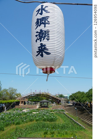 水行潮來菖蒲園菖蒲節場景 水行潮來菖蒲園菖蒲節場景 126954098