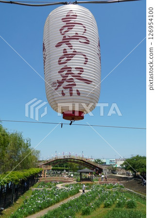 水行潮來菖蒲園菖蒲節場景 水行潮來菖蒲園菖蒲節場景 126954100