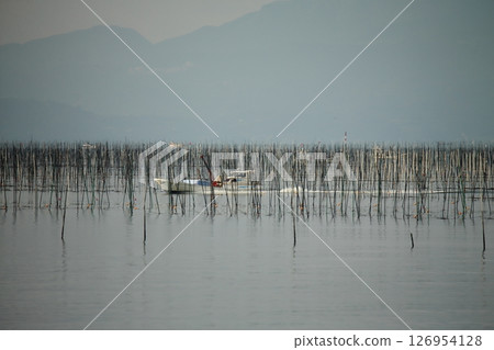 Omuta City Ariake Sea Nori field, Omuta City Ariake Sea Nori field, 126954128