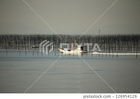 Omuta City Ariake Sea Nori field, Omuta City Ariake Sea Nori field, 126954129