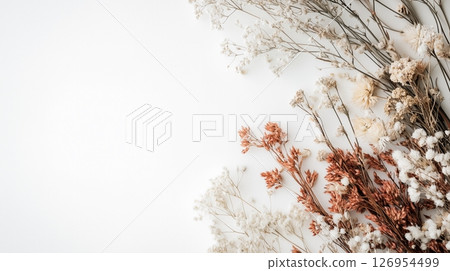 乾燥花背景材料，白色背景 126954499