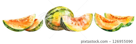 Set of fresh fruit, Melons in watercolor style isolated on a transparent background. 126955090