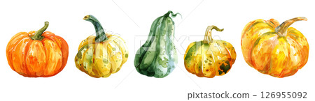 Set of fresh fruit, Mixed pumpkins and squashes in watercolor style isolated on a transparent background. 126955092