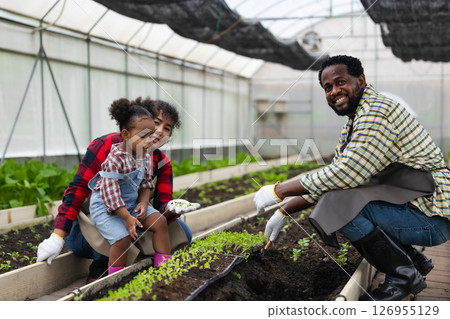 Happy African black people farmer family enjoy playing together with girl child planting plant in greenhouse vegetable farm 126955129