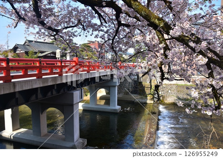 Spring in Takayama, Gifu Prefecture, Japan: Cherry blossoms in full bloom, tourist attractions Nakabashi Bridge and Miyagawa River, surrounding cityscape and beautiful blue sky 126955249