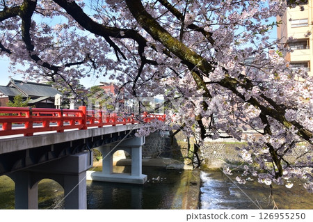 Spring in Takayama, Gifu Prefecture, Japan: Cherry blossoms in full bloom, tourist attractions Nakabashi Bridge and Miyagawa River, surrounding cityscape and beautiful blue sky 126955250