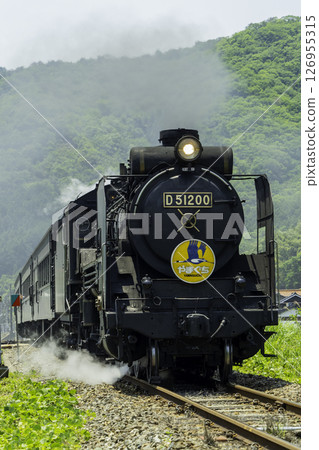 蒸汽機車穿過新綠 126955315