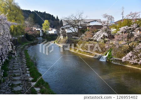 日本岐阜縣高山市的春天。從旅遊景點中橋橋頂望去。盛開的櫻花和周圍的街道景觀。美麗的宮川和新鮮的綠植。 126955402