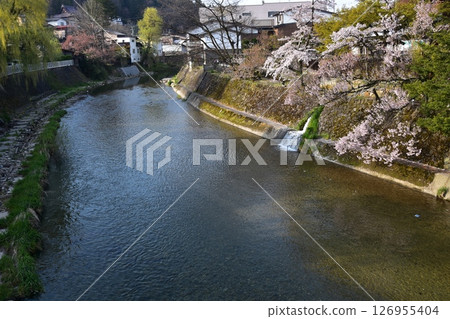 日本岐阜縣高山市的春天。從旅遊景點中橋橋頂望去。盛開的櫻花和周圍的街道景觀。美麗的宮川和新鮮的綠植。 126955404