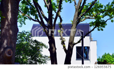 Residential homes with modern facade. Terraced family homes in newly developed housing estate. The real estate market in the suburbs. New single family houses in a new development area.  126955675