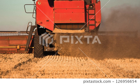 concept combine harvester wheat, agriculture, harvesting wheat field, wheat harvest time in summer, business entrepreneur field, red combine harvester is on a field. combine harvester is spewing out 126956654