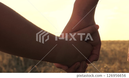 close up hands parent child, mother child wheat field sunset, holding hands sunset, happy family life, little child kid farmer, agriculture, attention tenderness son daughter boy girl, happy family 126956656