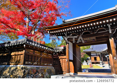 Autumn leaves at Noninji Temple, Saitama Prefecture 126956772