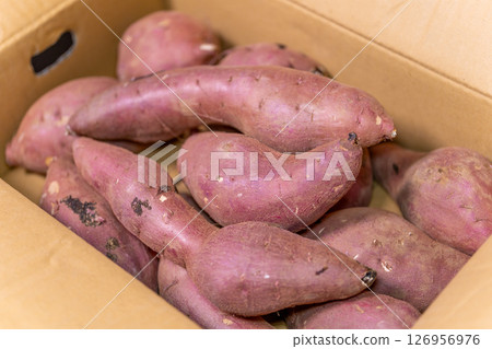 Sweet potato Beni Haruka, the sweet potato with the highest sugar content in Japan, 30% sugar, bought by the box Sweet potato Beni Haruka, the sweet potato with the highest sugar content in Japan, 30% sugar, bought by the box 126956976
