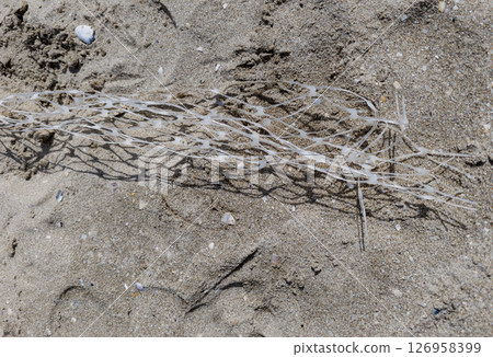 dirty plastic on beach dirty plastic on beach 126958399